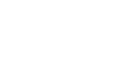 Seccuro Group