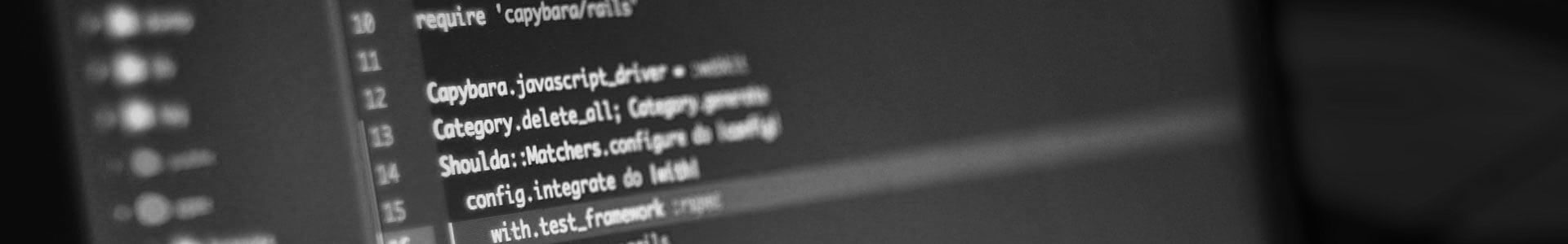 software-developmentbw